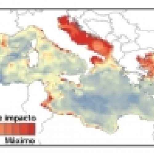 Identifican las áreas del mar Mediterráneo más amenazadas por el impacto de la actividad humana