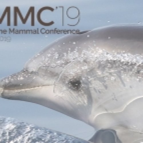 Barcelona gathers around 2,000 international experts in the 1st World Marine Mammal Conference