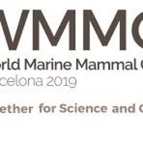 More than 2,500 experts gather in Barcelona for the first World Marine Mammal Conference