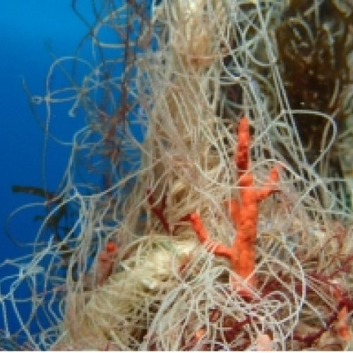 The project ‘Evitem la pesca fantasma’ moves away nineteen lost fishing gears in the sea floor 