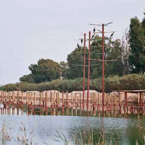 Artificial roosts for cormorants. A pioneering global initiative for aviation safety