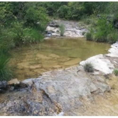 Projecte TRivers-P: avaluar l’estat ecològic de les basses desconnectades dels rius temporals o intermitents