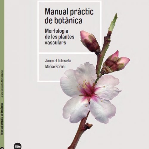 Manual pràctic de botànica