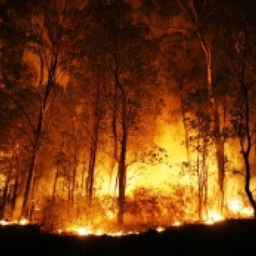 Un estudi revela un canvi sense precedents en el règim d’incendis del continent europeu 