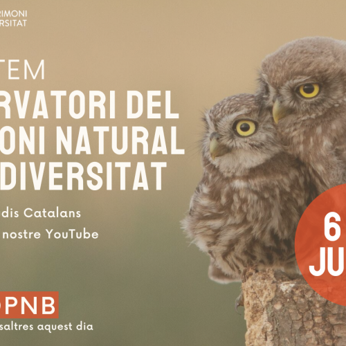 Presentación oficial del Observatorio del patrimonio natural y la biodiversidad de Cataluña