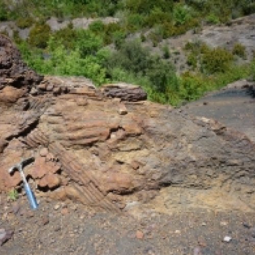 Discovery of unknown habitats in the carboniferous flora in the Pyrenees