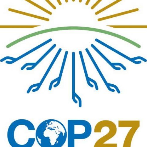 IRBio researcher Jofre Carnicer and a group of UB Biology students present at COP27