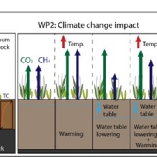 Project PYREPEAT: How climate change and overgrazing affect carbon cycling in Pyrenean peatlands?