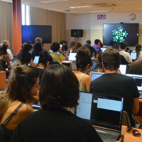 Curso Phylogenomics and Population Genomics: Inference and Applications 