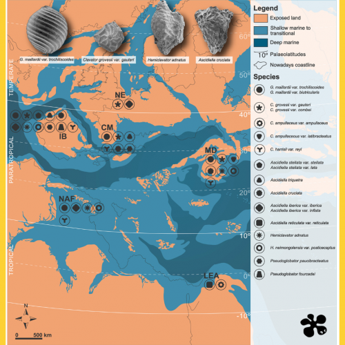 L’arxipèlag de la mar Tetis va ser una bioprovíncia fa 129–120 milions d’anys enrere 