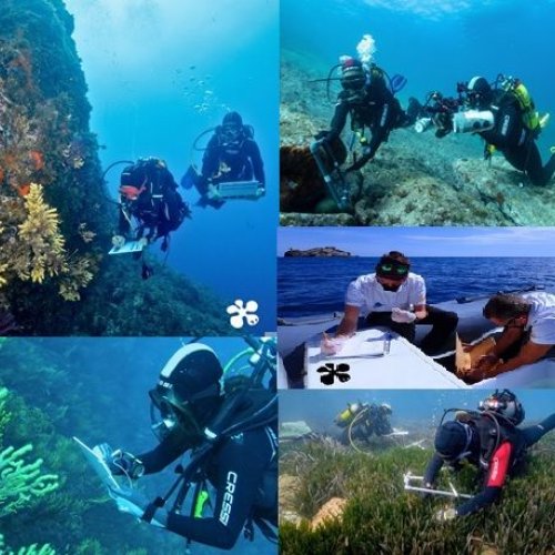 Call for postdoctoral candidates interested in applying for a Marie Curie Individual Fellowship in the field of Marine Reserves and integrated management.