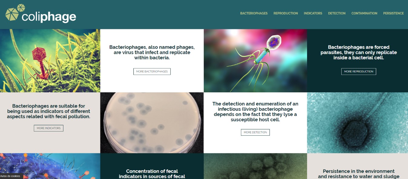New web site on coliphages