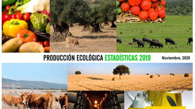 Producción ecológica en España: datos estadísticos 2019