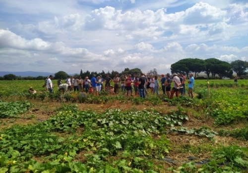 Masiva asistencia a la jornada técnica “Gestión de cubiertas vegetales con roller crimper en horticultura ecológica”