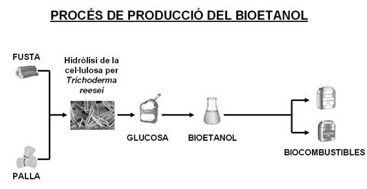 Producci bioetanol 2