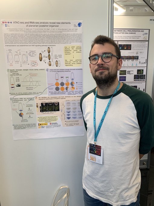 Eudald presented his poster titled "ATACseq and RNAseq analysis reveal new elements of planarian posterior organizer"