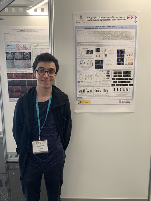 Dani presented his poster titled "Early hippo downstream effectors genes in planarians homeostatic tissue renewal"