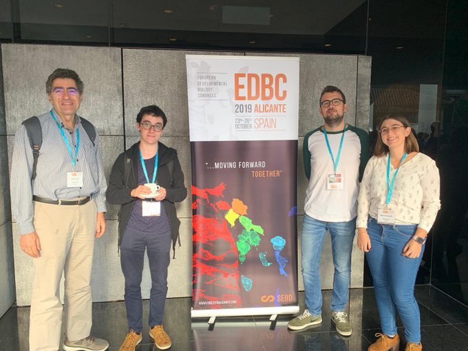 Emili, Dani, Eudald and Maria attended to First European Development Biology Congress
