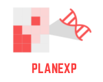 planexp_logo