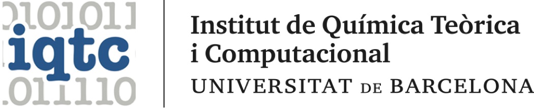 Institut de Química Teòrica i Computacional