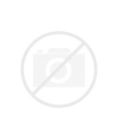 Dr. Iván Briz Godino