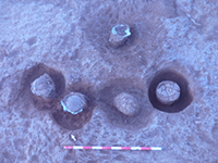 Arqueòlegs de la Universitat de Barcelona recuperen urnes d’incineració intactes en una necròpolis ibèrica d’Ulldecona