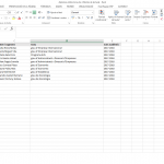 Excel amb informacions específiques, les variables del Word
