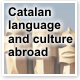 Lectorats de llengua i literatura catalanes