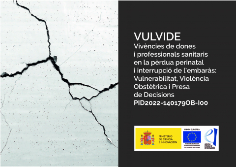 Logo VULVIDE (English)