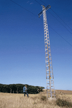 (Foto: Francesc Tint)