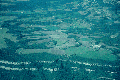 (Photo: Vicen� Bros)