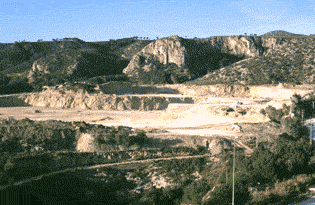 (Photo: Albert Tint�)