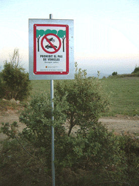 (Foto: Albert Tint�)