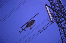 Colocaci�n de espirales anticolisi�n (Foto: Santi Ma�osa)