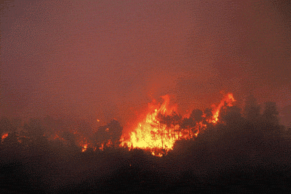 (Foto: Vicen� Bros)