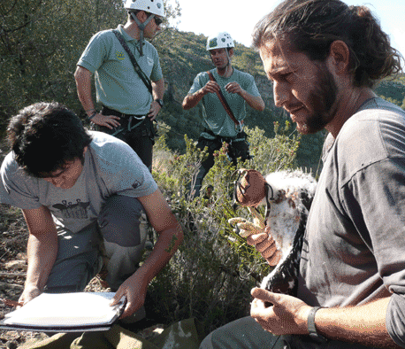 Foto: Agents rurals Generalitat de Catalunya