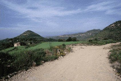 (Foto: Albert Tint�)