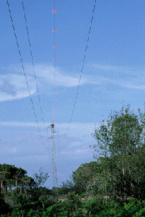 Tendido se�alizado con espirales anticolisi�n (Foto: Albert Tint�)