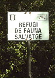 (Foto: Vicen� Bros)