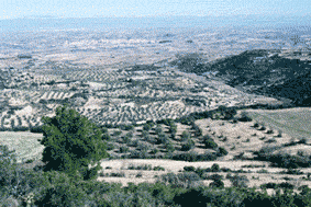 (Foto: Albert Tint�)