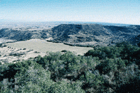 (Foto: Albert Tint�)