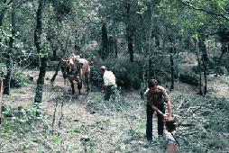 (Foto: Vicen� Bros)