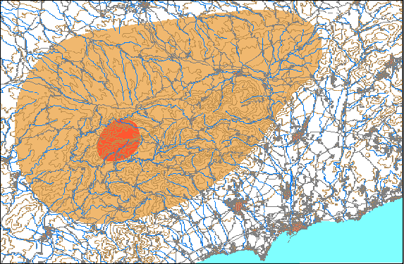 (Imatge: Albert Tint�)