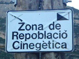 (Foto: Albert Tint�)