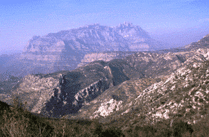 (Foto: Albert Tint�)