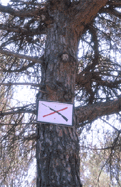 (Photo: Vicen� Bros)