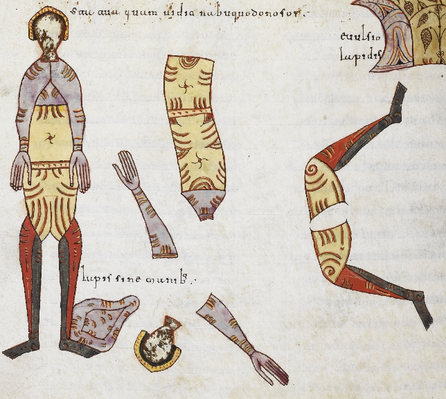 At utamur electram eam