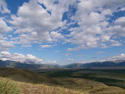 Siberian landscape