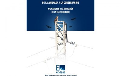 Monograph on mitigation of bird electrocution