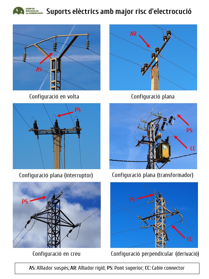 Algunos de los apoyos eléctricos más peligrosos según el modelo predictivo desarrollado por el EBC-UB. Fotos: EBC-UB.